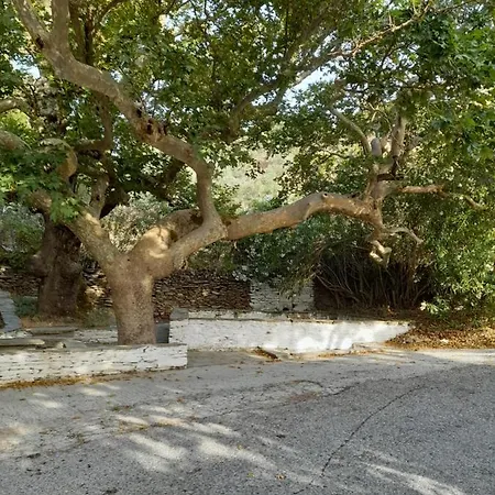 Summerandros Meliti * Lámira