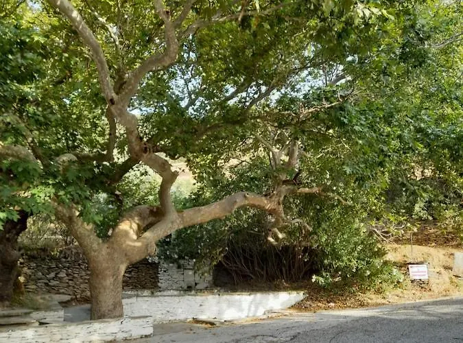 Summerandros Meliti Daire