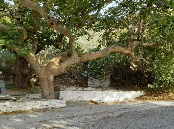 Summerandros Meliti * Lámira